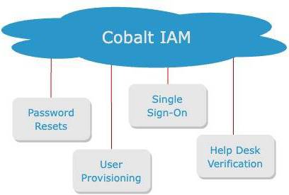 Cobalt IAM