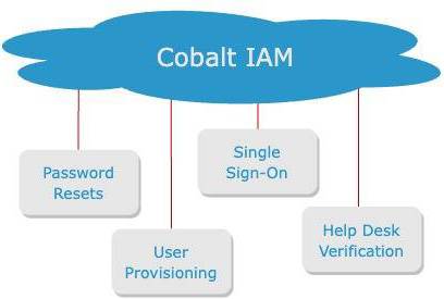 Cobalt Cobalt IAM